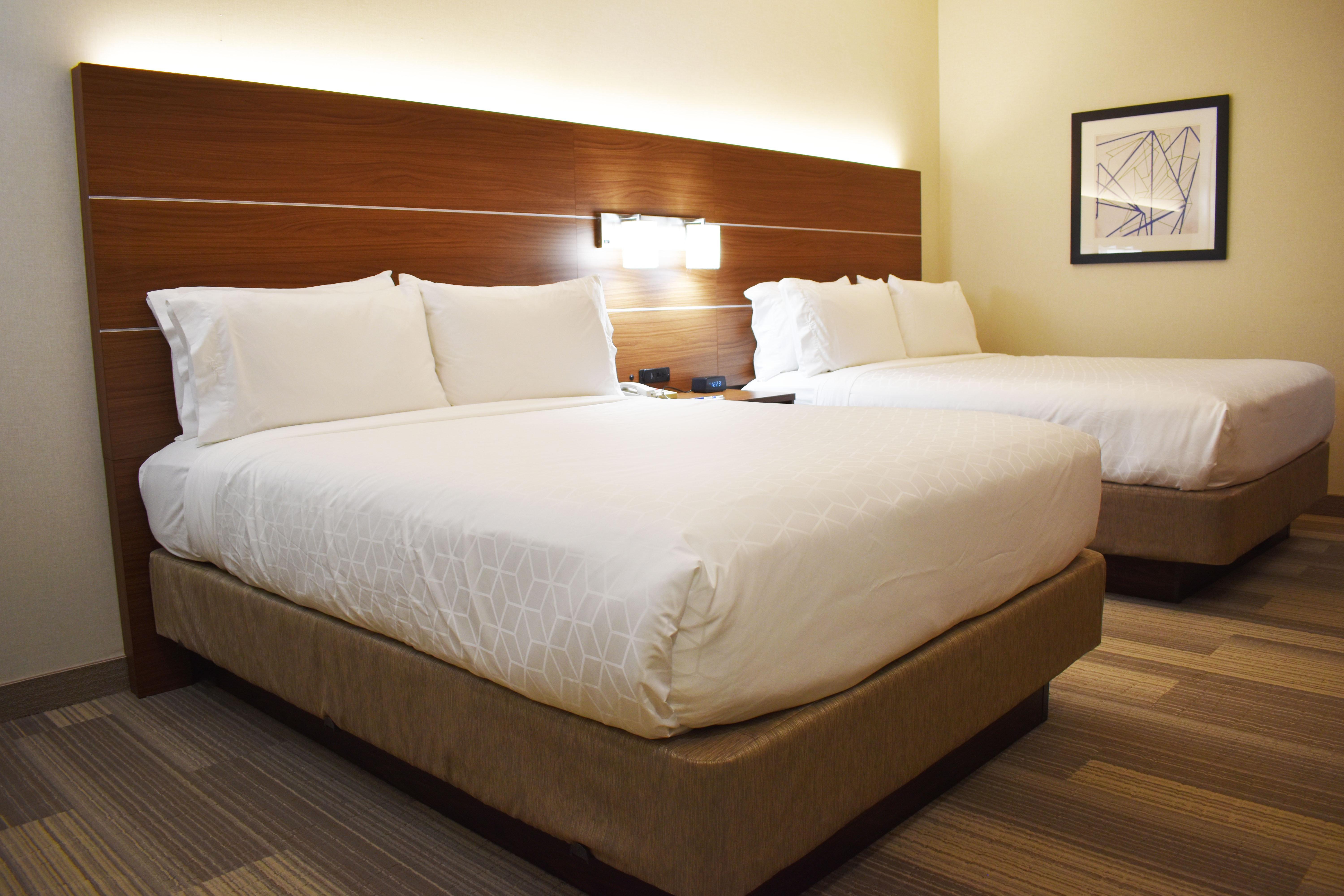 Holiday Inn Express Hotel & Suites Albany By Ihg Exterior foto
